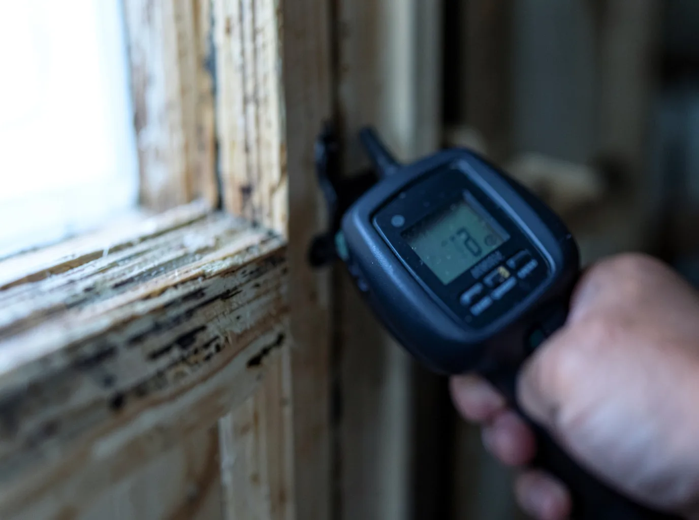 Moisture Inspection And Documentation in Florence, AL